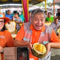 Masuk Musim Bunga, LSM Pekat dan Yayasan Sebar Dorong Pelepasan 10 Varietas Durian Unggul Lokal